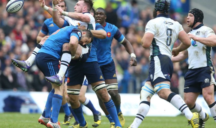 ホッグ　スコットランド　ラグビー